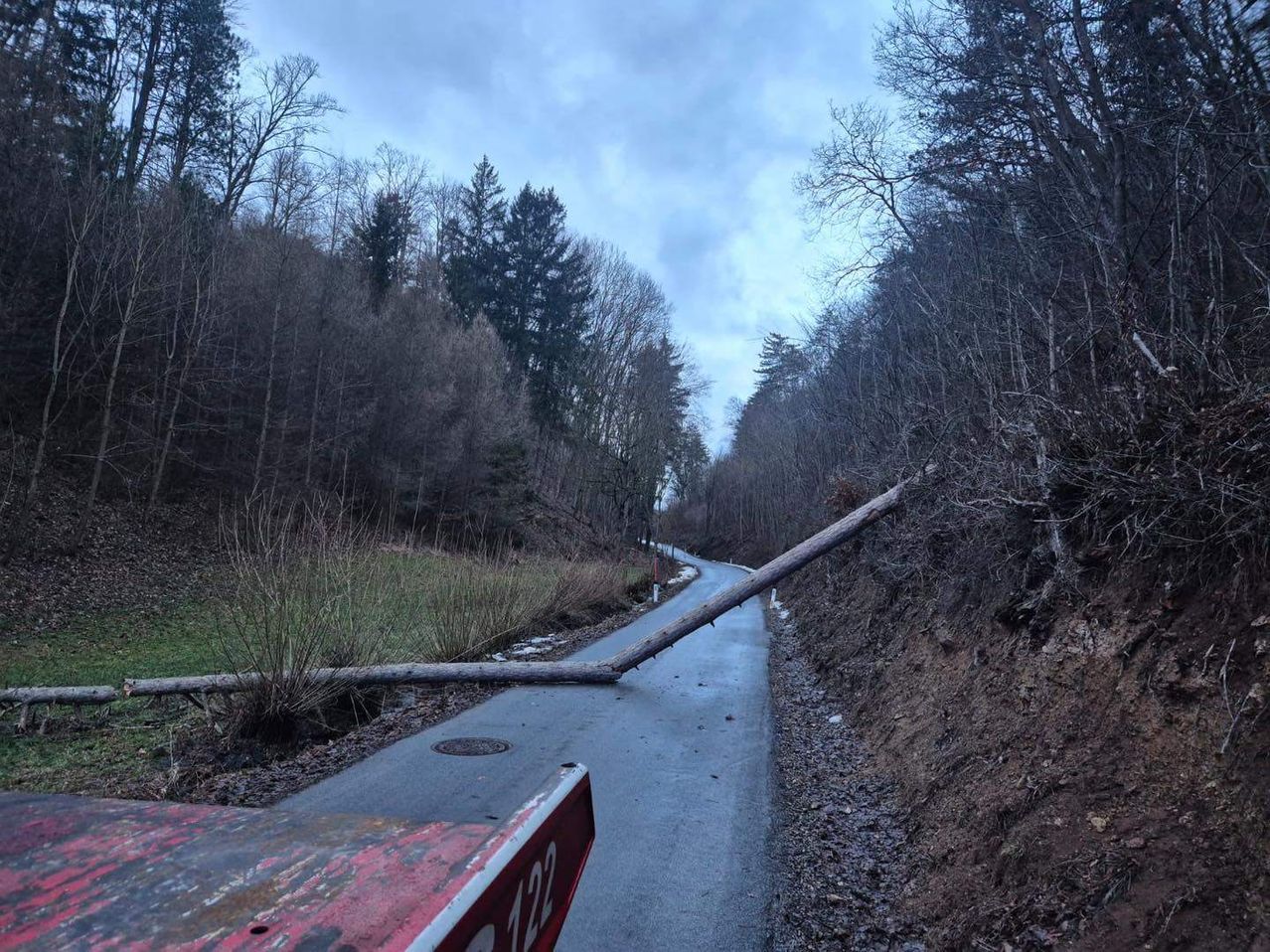 Eine von Bäumen gesäumte Straße hat einen umgestürzten Baum darauf. Die Straße ist leer. Der Himmel ist bewölkt. Die Bäume sind kahl.