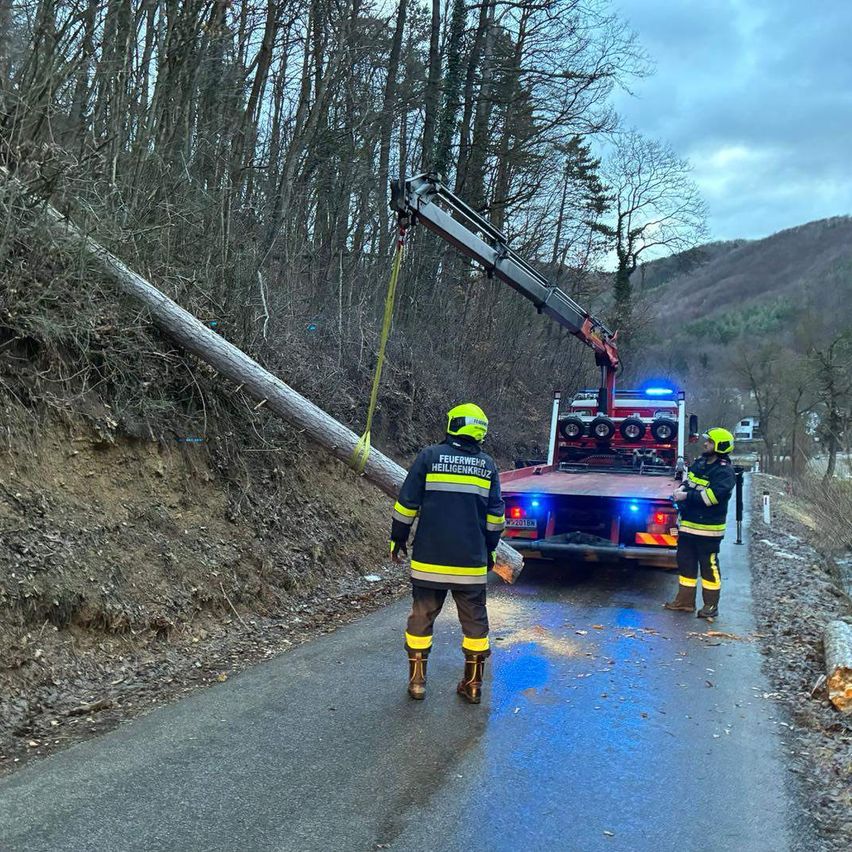 Zwei Feuerwehrleute in voller Ausrüstung stehen am Straßenrand mit einem umgestürzten Baum. Ein Kranfahrzeug hebt den Baum an.