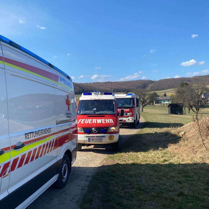 Drei Rettungswagen, zwei mit dem Wort 'Feuerwehr' und einer mit der Aufschrift 'Rettungsdienst', sind auf einem Feldweg mit grünem Gras und Bäumen geparkt. Der Himmel ist klar mit einigen Wolken.