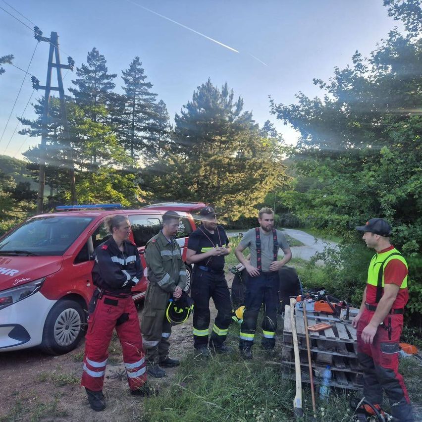Eine Gruppe von Notfallhelfern versammelt sich in einem bewaldeten Gebiet. Ein rotes Fahrzeug ist hinter ihnen geparkt. Sie tragen rote und grüne Uniformen und unterhalten sich.