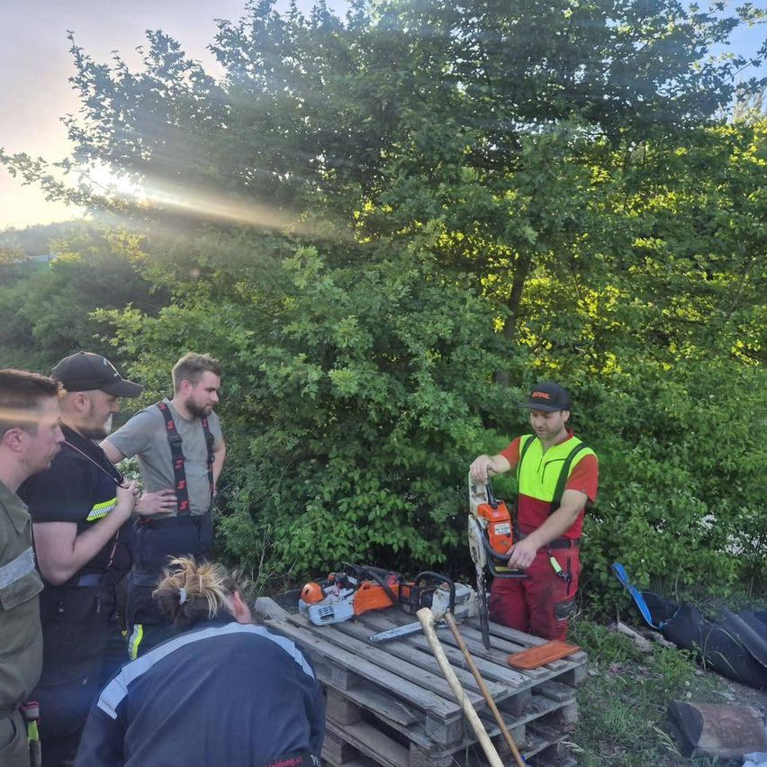 A group of workers is gathered around a wooden pallet, possibly preparing for some outdoor work. One of them holds a chainsaw while another stands on the pallet.