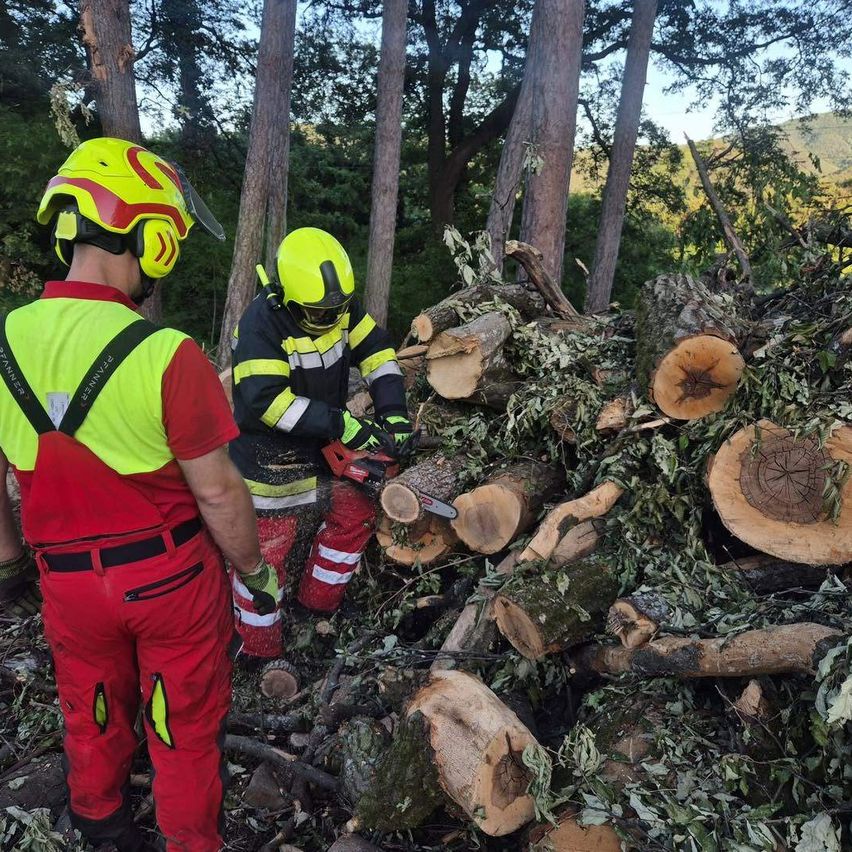 Two firefighters in protective gear work in a forest, one using a chainsaw on tree logs.