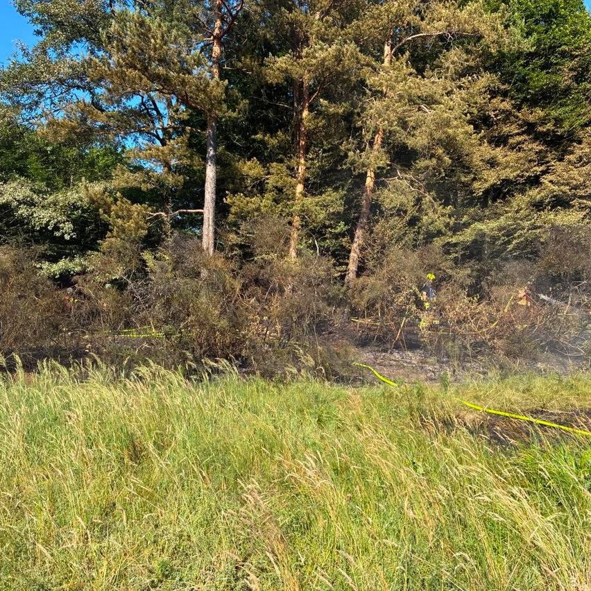 Ein Feuerwehrmann steht in einem Grasfeld mit Bäumen und Büschen. Er sprüht Wasser mit einer Feuerwehrspritze. Das Gebiet ist von Rauch umgeben.