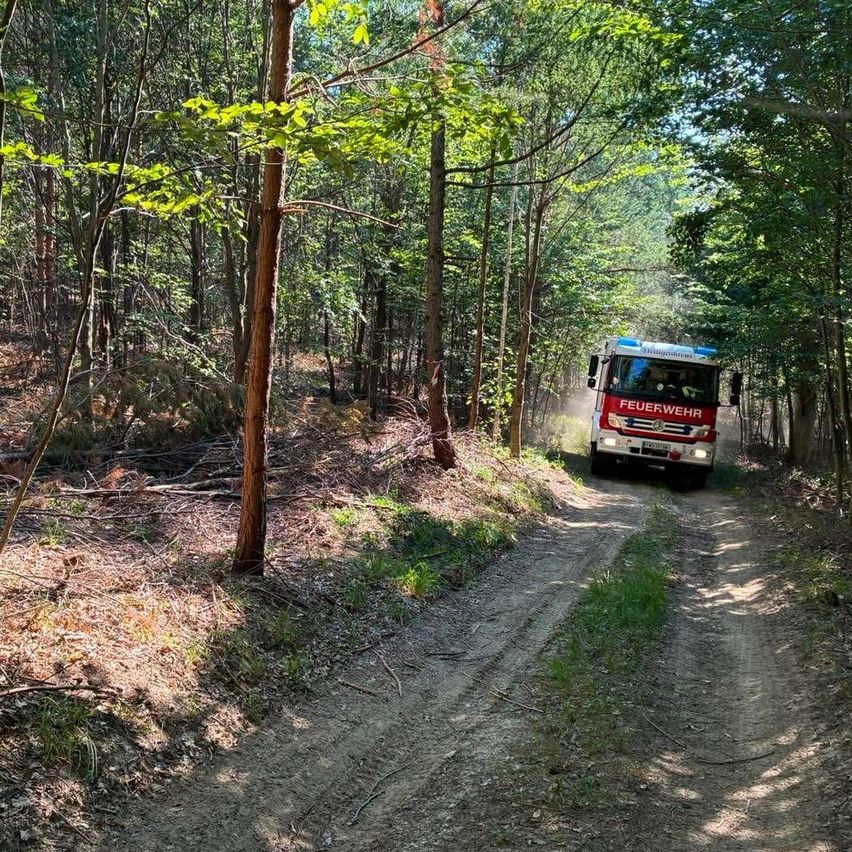 Ein Feuerwehrfahrzeug fährt auf einem Feldweg in einem Wald, mit hohen Bäumen auf beiden Seiten. Das Fahrzeug hat den Text 'FEUERWEHR' auf seiner Vorderseite.