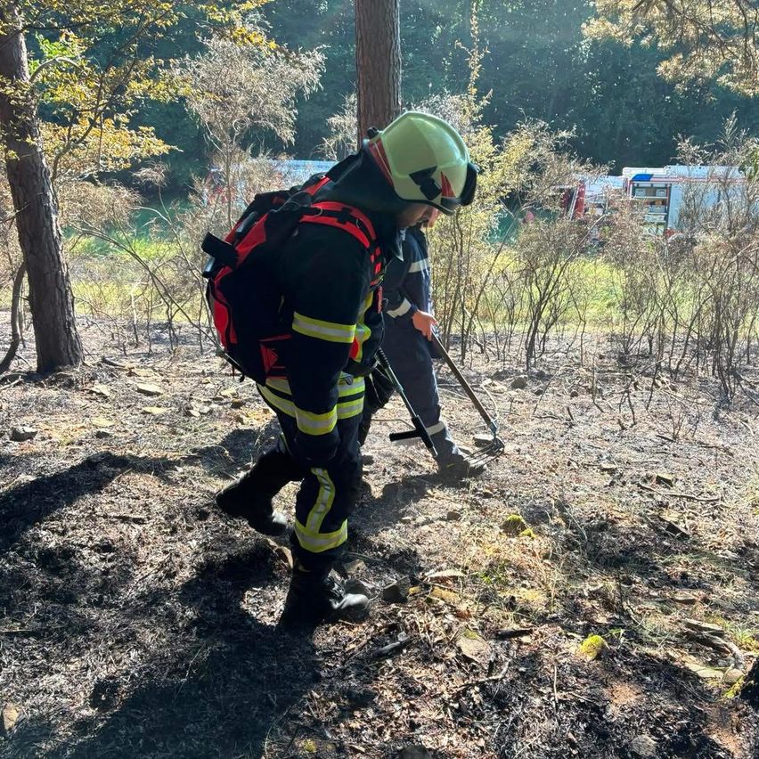 Zwei Feuerwehrleute in Schutzkleidung untersuchen ein verbranntes Gebiet. Einer hält ein Werkzeug und untersucht den Boden, während der andere hinter ihm steht. Ein Feuerwehrwagen ist im Hintergrund sichtbar.