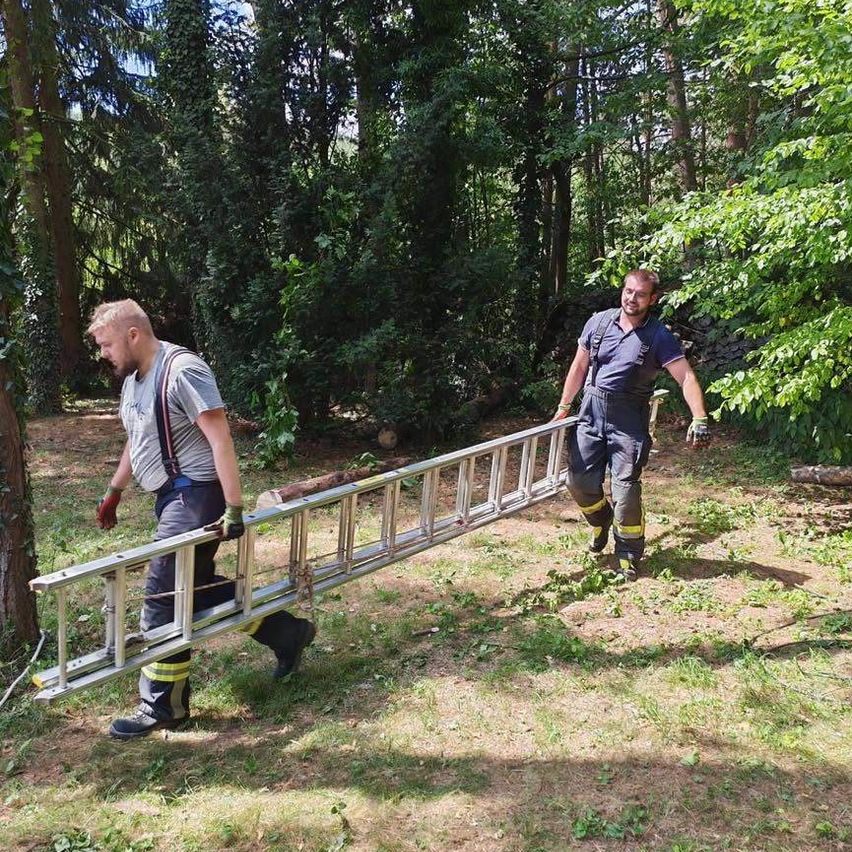 Zwei Männer tragen eine Leiter durch einen Wald, einer trägt eine Hosenträger und der andere ist in einer blauen Uniform.