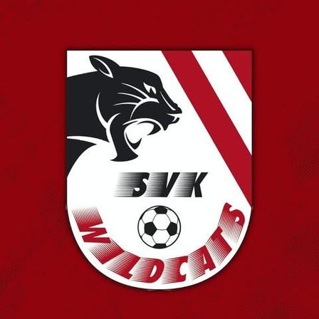 Bild enthält, Logo, Ball, Football, Soccer, Soccer Ball, Sport, Symbol, Emblem