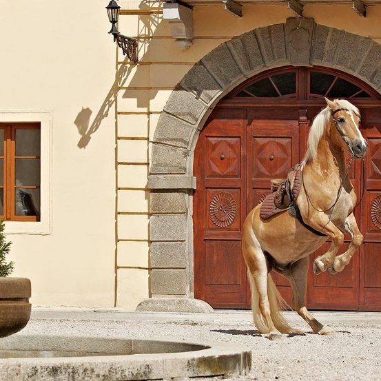 Ein goldenes Pferd steht vor einer gewölbten Holztür und hebt seine Vorderbeine. Eine Lampe ist an der Wand neben einem Fenster montiert.