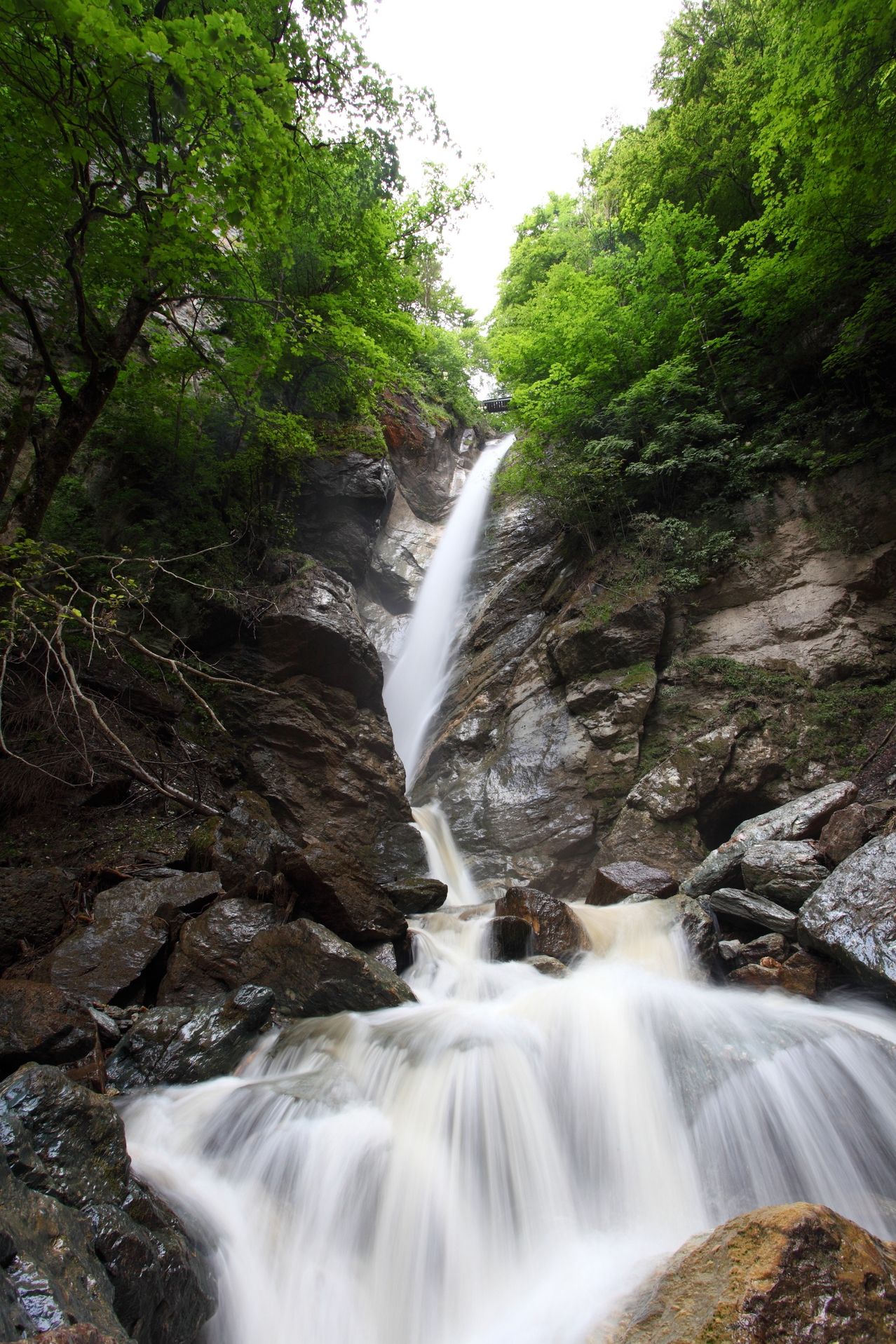 Ein Wasserfall stürzt an einem felsigen Berghang hinab, umgeben von üppigem grünem Laub. Das Wasser schäumt, als es auf die Felsen darunter trifft.
