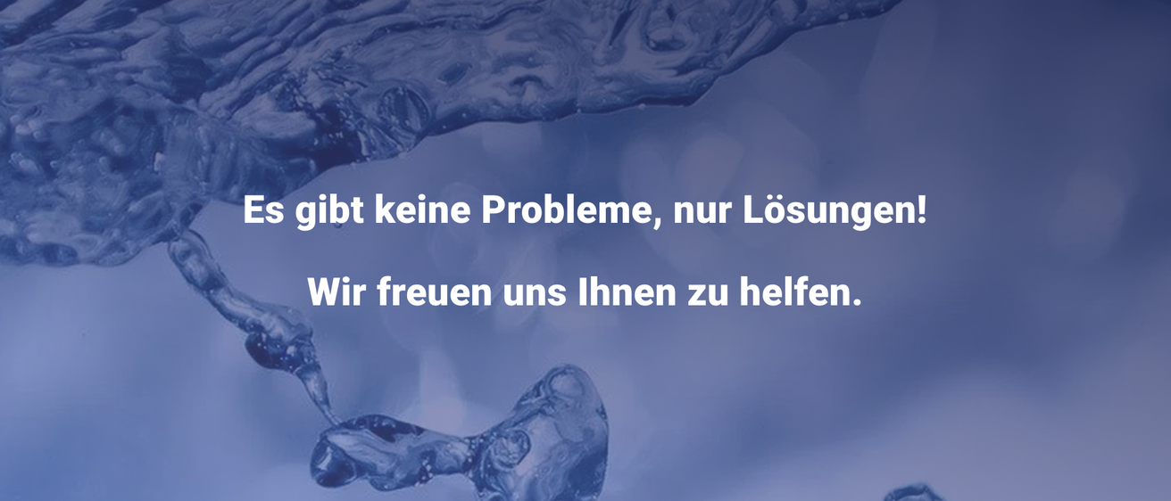 Blauer Hintergrund mit abstrakter Fischfigur und Text, der 'Es gibt keine Probleme, nur Lösungen. Wir freuen uns, Ihnen zu helfen.' lautet.