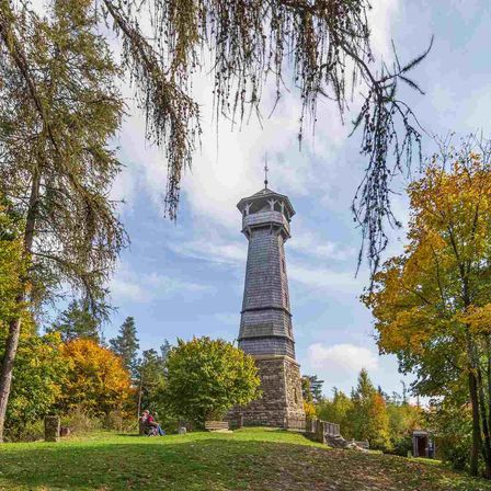 v1_migrated_image_60131497