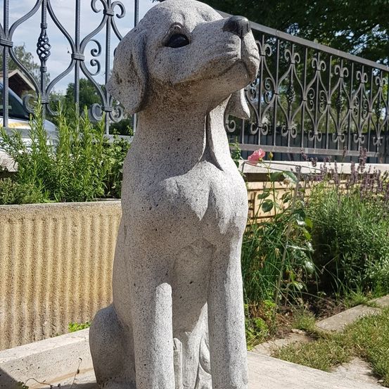 Eine Betonstatue eines Hundes sitzt auf einer Betonfläche in einem Garten, umgeben von Pflanzen und einem Metallzaun. Hinter dem Zaun ist ein Auto geparkt, und es gibt Bäume und ein Gebäude.