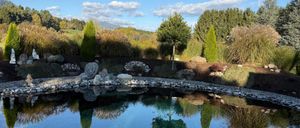 Ein ruhiger Teich mit klarem blauem Wasser spiegelt die Bäume und Pflanzen um ihn herum wider. Die Umgebung ist mit Steinen, Bäumen und Pflanzen unter einem blauen Himmel mit einigen Wolken gestaltet.