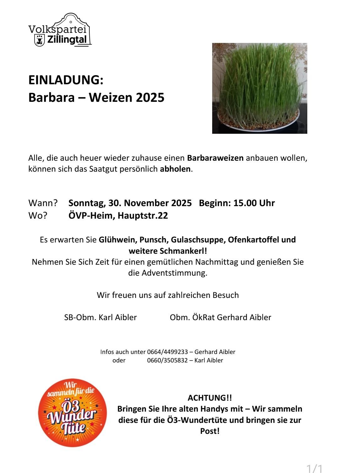 Einladung: Barbara-Weizen 2025 anbauen. Abholung am Sonntag, 30. November 2025, 15:00 Uhr bei OVP-Heim, Hauptstr. 22. Erwarten Sie Glühwein, Punsch, Gulaschsuppe, Ofenkartoffeln und mehr Leckereien. Genießen Sie einen gemütlichen Nachmittag und die Adventsstimmung.