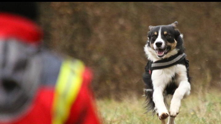 v1_migrated_image_63534803