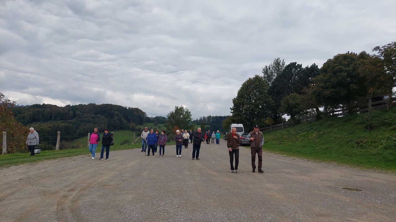 Bild enthält, Road, Gravel, Person, Walking, Grass, Tarmac, Tree, Fir, Outdoors, Car