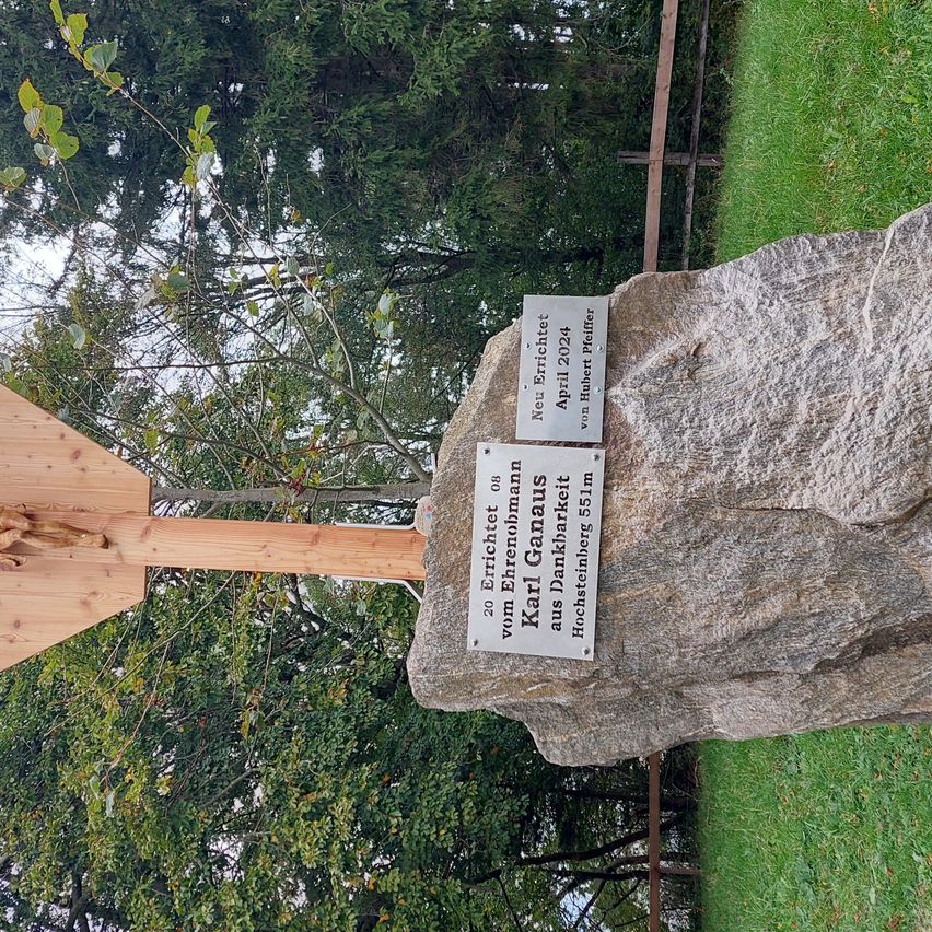 Bild enthält, Slate, Path, Walkway, Plant, Tree