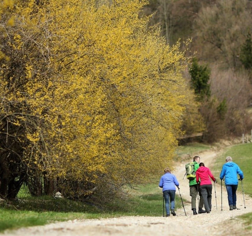 Bild enthält, Person, Walking, Vegetation, Path, Outdoors, Tree, Woodland, Glove, Trail, Hiking