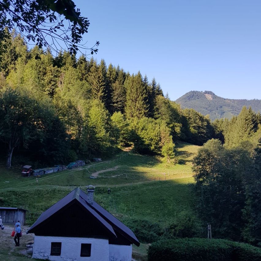 Ein kleines weißes Haus mit schwarzem Dach liegt in einem üppigen grünen Tal, umgeben von dichten Wäldern und einem entfernten Berg.