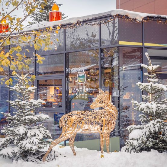 Bild enthält, Tree, Shop, Window Display, Outdoors