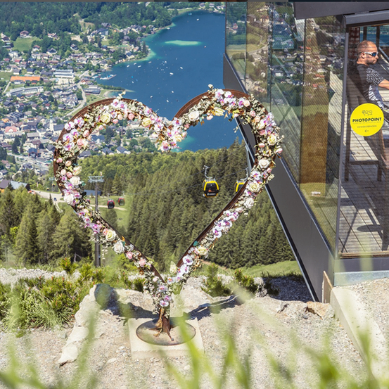 Bild enthält, Plant, Tree, Person, Symbol, Head, Aircraft, Helicopter, Transportation, Vehicle, Outdoors