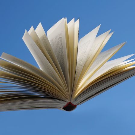 Ein offenes Buch mit wehenden Seiten im Wind gegen einen blauen Himmel, das Text und Illustrationen zeigt.