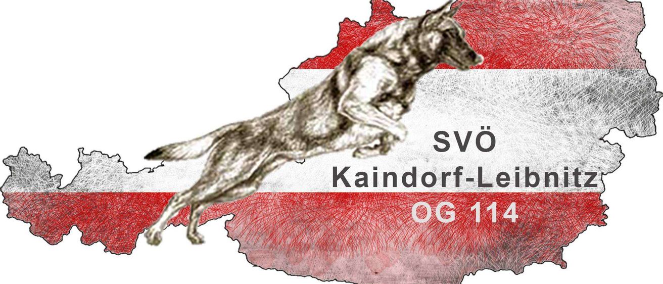 Illustration eines laufenden Hundes auf der österreichischen Flagge. Darunter steht der Text 'SVO Kaindorf-Le' und 'OG 11'.