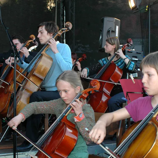 Cello, Musical Instrument, Microphone, Person, Child, Female, Girl, Shoe, Ring, Handbag
