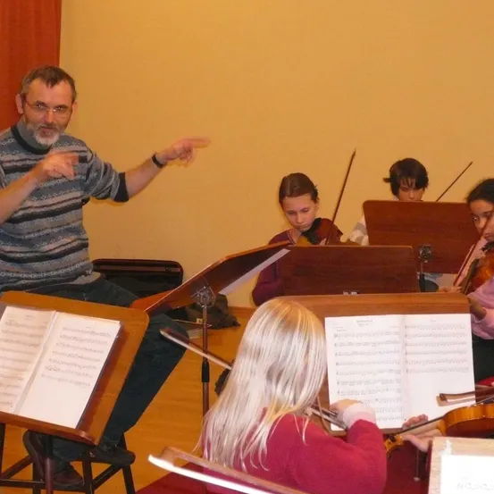 Violin, Adult, Male, Man, Person, Boy, Child, Female, Woman, Indoors