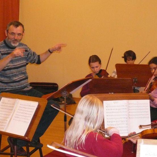 Bild enthält, Violin, Adult, Male, Man, Person, Boy, Child, Female, Woman, Indoors