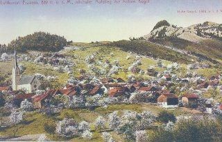 image-768-960bc5183a90fc67c901861081bdf13a