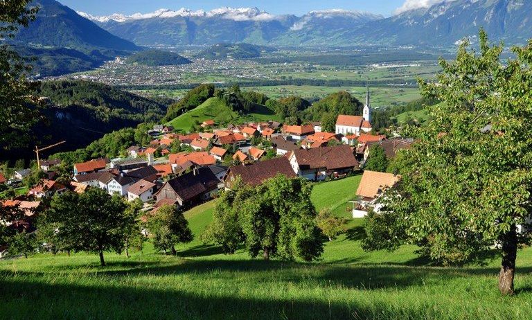 image-768-960bc5183a90fc67c901861081bdf13a(1)