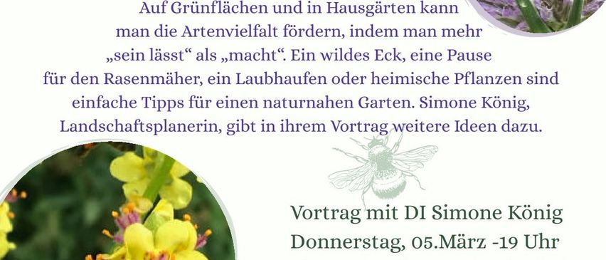 Plakat mit Insekten und Pflanzen, beschriftet in Deutsch. Bilder von einem Schmetterling, einer Biene und einer Blume. Simone König, Landschaftsplanerin, hält einen Vortrag am Donnerstag, 5. März um 19 Uhr im Pfarrsaal Weiler.