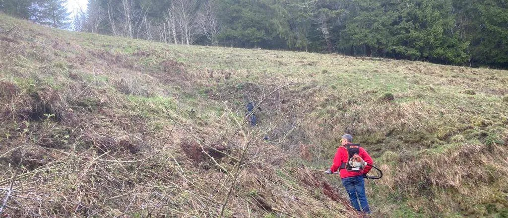 Eine Person in einem roten Jacken geht durch ein Feld mit einem Astscherenschneider, umgeben von hohem Gras und Bäumen.
