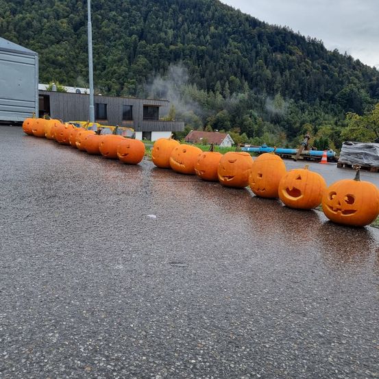 Bild enthält, Food, Plant, Produce, Squash, Vegetable, Pumpkin, Road, Tarmac, Person, Festival