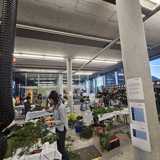 Bild enthält, Building, Potted Plant, Adult, Female, Person, Woman, Indoors, Market, Shoe, Shop