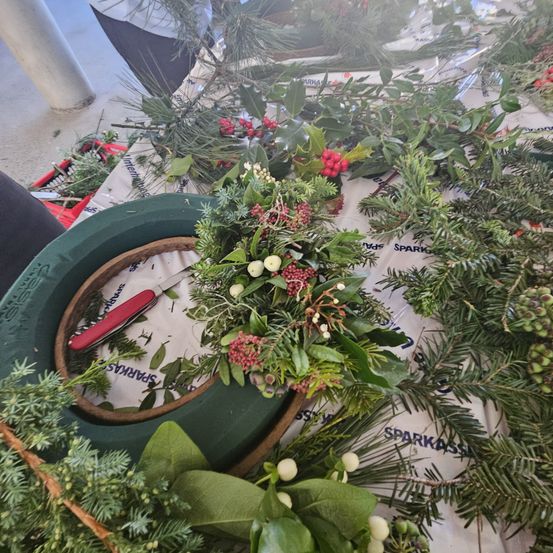 Bild enthält, Herbal, Potted Plant, Leaf, Flower, Flower Arrangement, Planter, Tree, Flower Bouquet, Garden, Vegetation