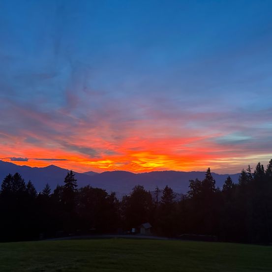 Bild enthält, Nature, Outdoors, Sky, Tree, Fir, Sunset, Grass, Scenery, Sunrise, Field