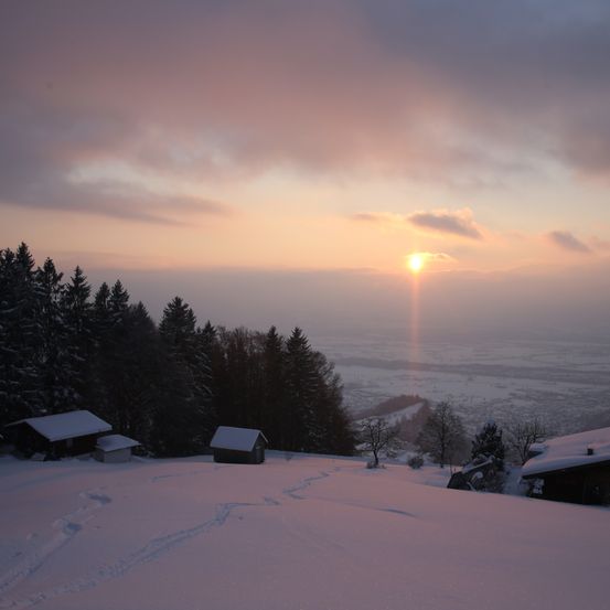 Bild enthält, Plant, Tree, Fir, Outdoors, Shelter, Nature, Sky, Countryside, Hut, Sunset