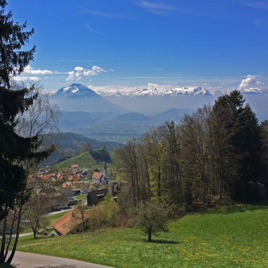 Bild enthält, Tree, Fir, Grass, Nature, Outdoors, Scenery, Mountain Range, Grassland, Slope, Peak