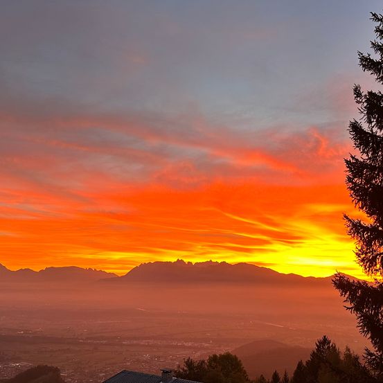 Bild enthält, Nature, Outdoors, Sky, Tree, Sunset, Fir, Sunrise, Scenery, Sunlight, Horizon