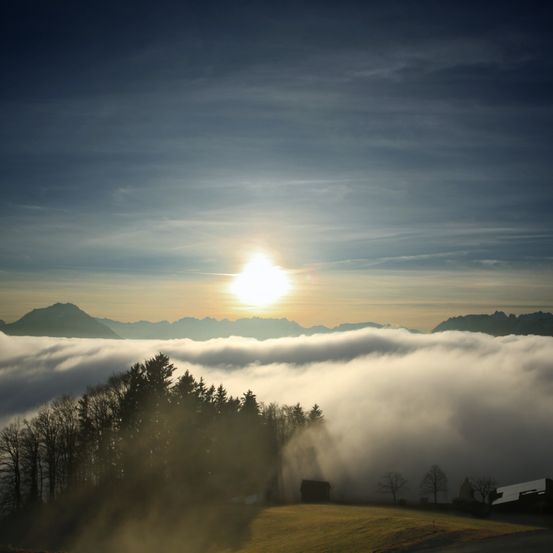 Bild enthält, Sunlight, Nature, Outdoors, Weather, Flare, Light, Sky, Scenery, Fir, Tree