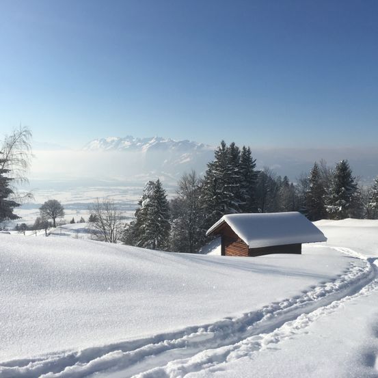 Bild enthält, Outdoors, Shelter, Countryside, Hut, Nature, Rural, Fir, Tree, Housing, House