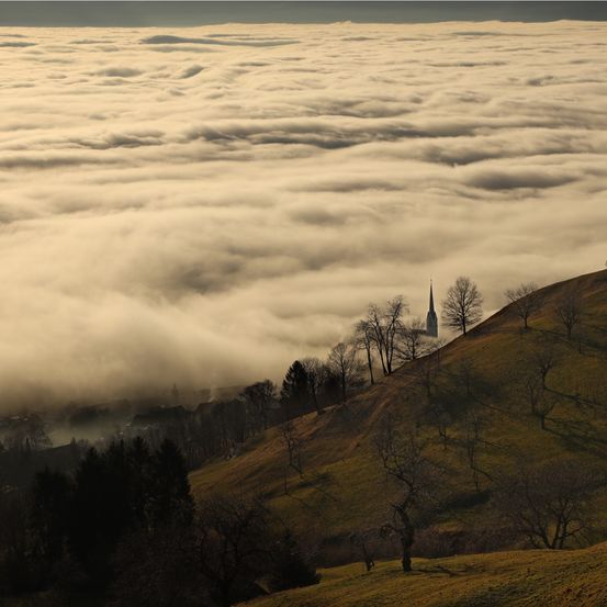 Bild enthält, Nature, Outdoors, Weather, Grassland, Plateau, Scenery, Fir, Tree, Slope, Countryside