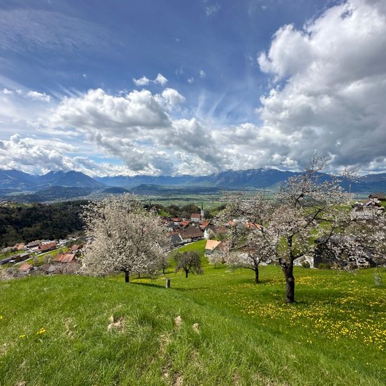 Bild enthält, Grass, Field, Grassland, Nature, Outdoors, Scenery, Sky, Landscape, Countryside, Meadow