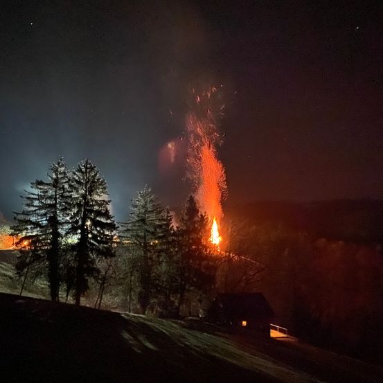 Bild enthält, Plant, Tree, Fire, Mountain, Nature, Outdoors, Bonfire, Flame