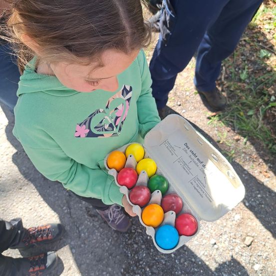 Ein kleines Mädchen in einem grünen Hoodie hält draußen ein Eierkarton mit bunten Eiern.