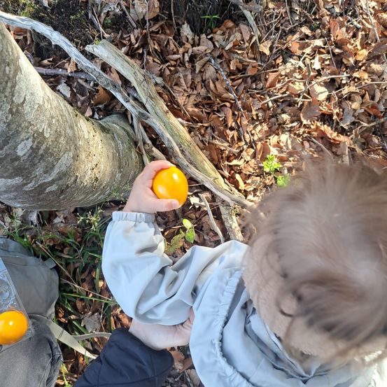 Ein Kind hält einen orangefarbenen Ball in einem Wald, während es auf dem Boden sitzt.