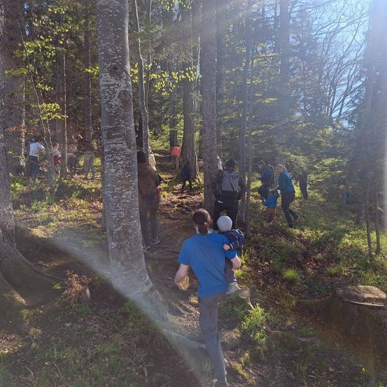 Eine Gruppe von Menschen wandert auf einem Waldweg, einer trägt ein Kind auf der Schulter. Bäume umgeben sie, mit Sonnenlicht, das durch das Blätterdach fällt.