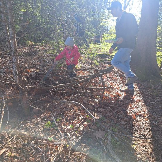 Ein Mann und ein Kind gehen durch einen Wald, das Kind sammelt Äste vom Boden auf.